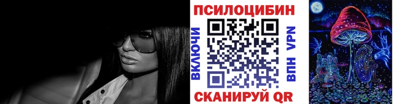 Купить где  Серов  Псилоцибиновые грибы Cubensis 